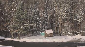 Weather camera view of John Dorr Nature Lab-Horace Mann School.