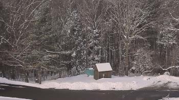 Weather camera view of John Dorr Nature Lab-Horace Mann School.