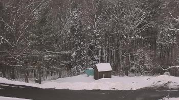 Weather camera view of John Dorr Nature Lab-Horace Mann School.