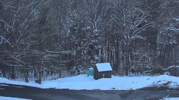 Weather camera view of John Dorr Nature Lab-Horace Mann School.