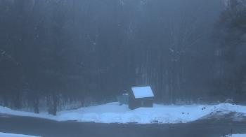 Weather camera view of John Dorr Nature Lab-Horace Mann School.