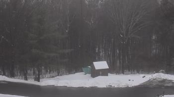 Weather camera view of John Dorr Nature Lab-Horace Mann School.