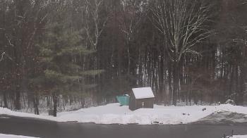 Weather camera view of John Dorr Nature Lab-Horace Mann School.