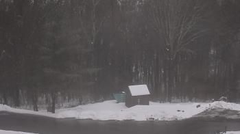 Weather camera view of John Dorr Nature Lab-Horace Mann School.