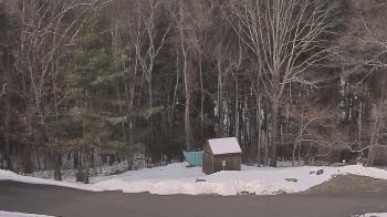 Weather camera view of John Dorr Nature Lab-Horace Mann School.