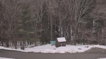 Weather camera view of John Dorr Nature Lab-Horace Mann School.