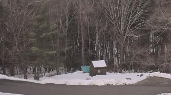 Weather camera view of John Dorr Nature Lab-Horace Mann School.