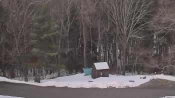 Weather camera view of John Dorr Nature Lab-Horace Mann School.