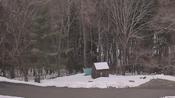 Weather camera view of John Dorr Nature Lab-Horace Mann School.