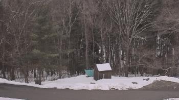 Weather camera view of John Dorr Nature Lab-Horace Mann School.