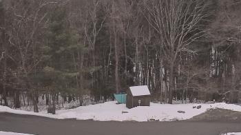 Weather camera view of John Dorr Nature Lab-Horace Mann School.