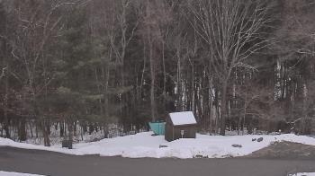 Weather camera view of John Dorr Nature Lab-Horace Mann School.