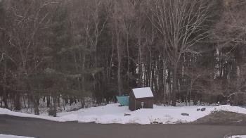 Weather camera view of John Dorr Nature Lab-Horace Mann School.