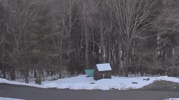 Weather camera view of John Dorr Nature Lab-Horace Mann School.