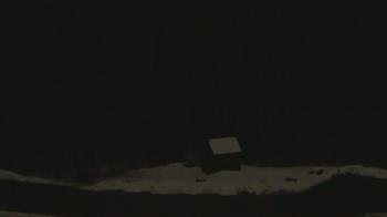 Weather camera view of John Dorr Nature Lab-Horace Mann School.