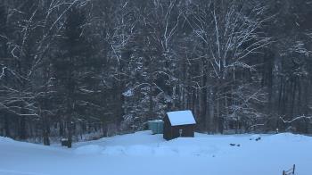Weather camera view of John Dorr Nature Lab-Horace Mann School.