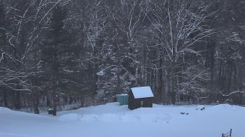 Weather camera view of John Dorr Nature Lab-Horace Mann School.