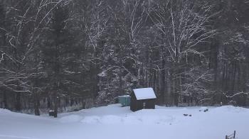 Weather camera view of John Dorr Nature Lab-Horace Mann School.