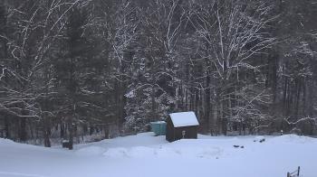 Weather camera view of John Dorr Nature Lab-Horace Mann School.