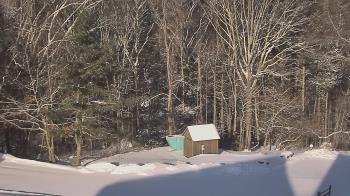 Weather camera view of John Dorr Nature Lab-Horace Mann School.