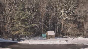 Weather camera view of John Dorr Nature Lab-Horace Mann School.