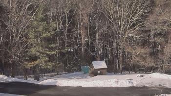 Weather camera view of John Dorr Nature Lab-Horace Mann School.