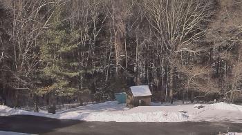 Weather camera view of John Dorr Nature Lab-Horace Mann School.
