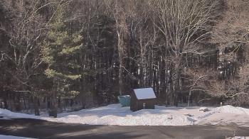 Weather camera view of John Dorr Nature Lab-Horace Mann School.