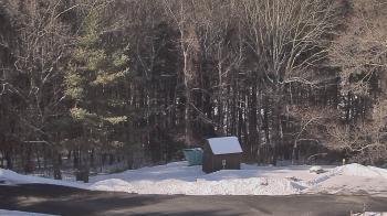 Weather camera view of John Dorr Nature Lab-Horace Mann School.