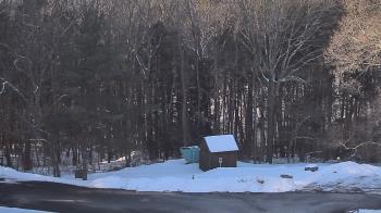 Weather camera view of John Dorr Nature Lab-Horace Mann School.