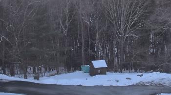 Weather camera view of John Dorr Nature Lab-Horace Mann School.