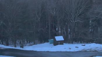 Weather camera view of John Dorr Nature Lab-Horace Mann School.