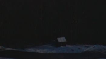 Weather camera view of John Dorr Nature Lab-Horace Mann School.