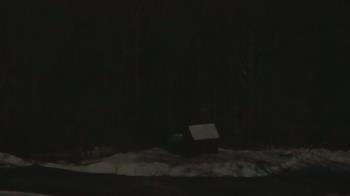 Weather camera view of John Dorr Nature Lab-Horace Mann School.