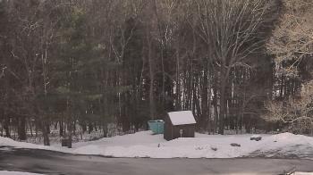 Weather camera view of John Dorr Nature Lab-Horace Mann School.