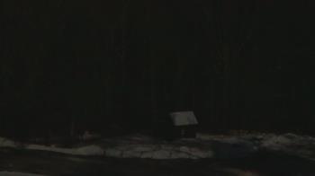 Weather camera view of John Dorr Nature Lab-Horace Mann School.