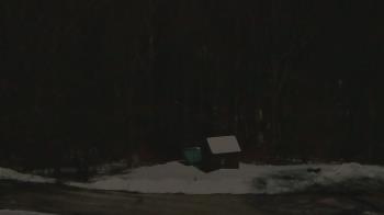 Weather camera view of John Dorr Nature Lab-Horace Mann School.