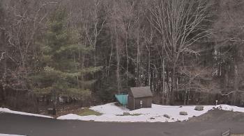 Weather camera view of John Dorr Nature Lab-Horace Mann School.