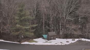 Weather camera view of John Dorr Nature Lab-Horace Mann School.