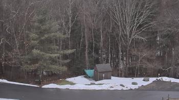 Weather camera view of John Dorr Nature Lab-Horace Mann School.