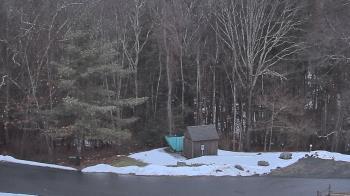 Weather camera view of John Dorr Nature Lab-Horace Mann School.