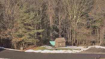 Weather camera view of John Dorr Nature Lab-Horace Mann School.