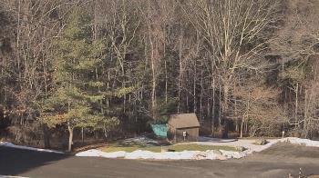 Weather camera view of John Dorr Nature Lab-Horace Mann School.