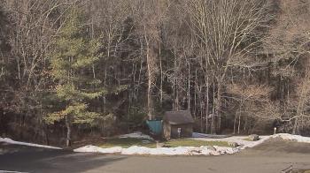 Weather camera view of John Dorr Nature Lab-Horace Mann School.