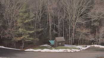 Weather camera view of John Dorr Nature Lab-Horace Mann School.