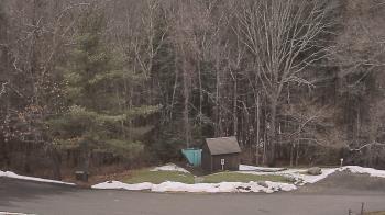 Weather camera view of John Dorr Nature Lab-Horace Mann School.