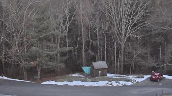 Weather camera view of John Dorr Nature Lab-Horace Mann School.