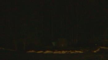 Weather camera view of John Dorr Nature Lab-Horace Mann School.