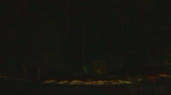 Weather camera view of John Dorr Nature Lab-Horace Mann School.