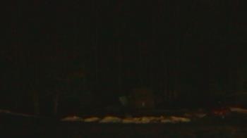 Weather camera view of John Dorr Nature Lab-Horace Mann School.